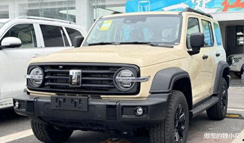 国产精品300  第2张